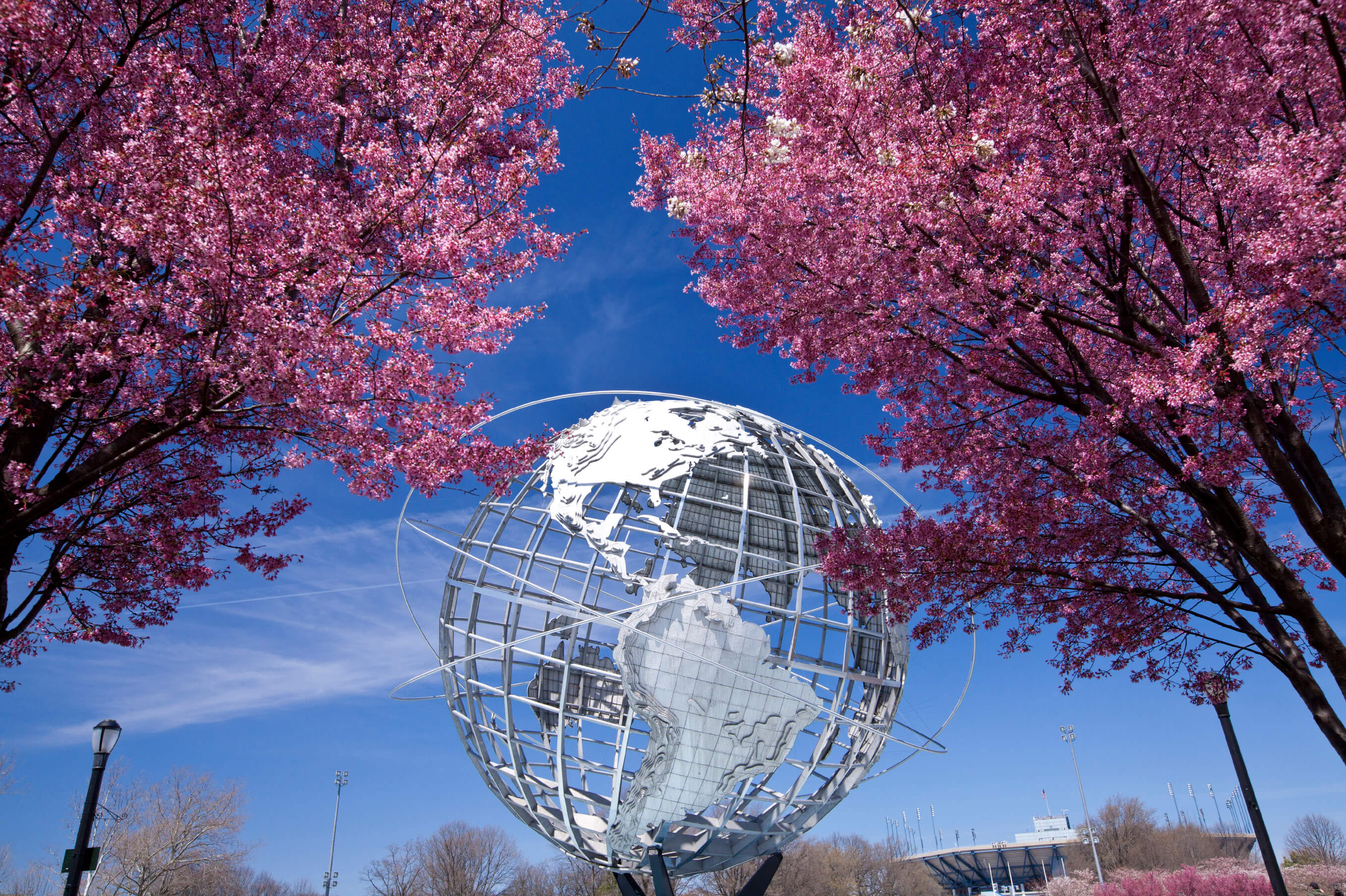 Queens Criminal Defense Lawyer Troy Smith